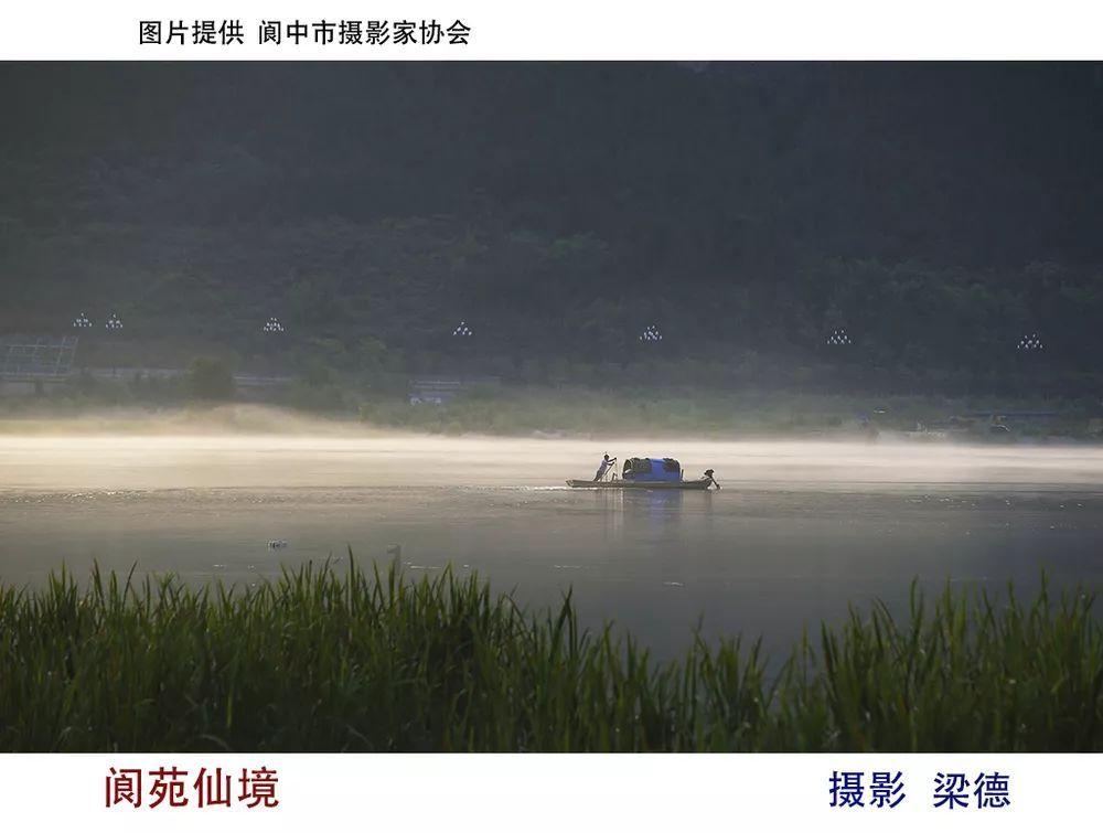 救援小孔雀