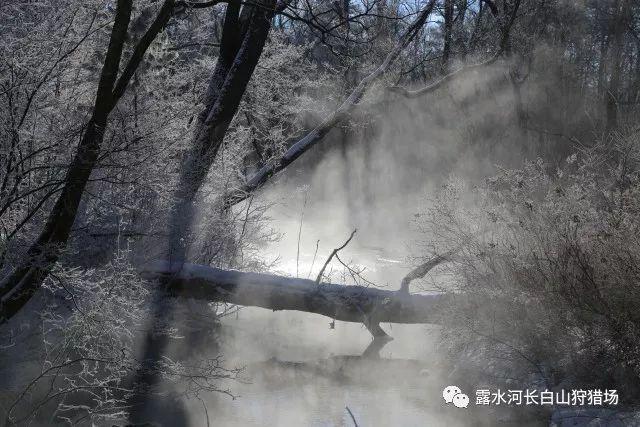 孙吴县第十八届人民代表大会第三次会议胜利闭幕