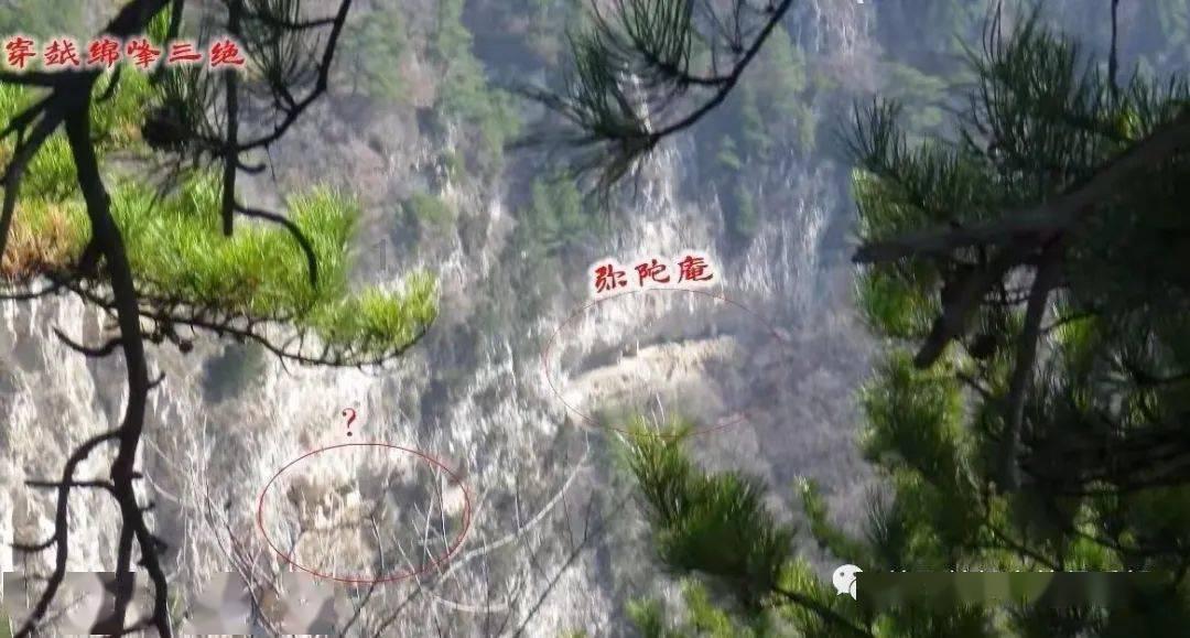 “万能”冰箱放放放?这3类食物千万别长期放冰箱