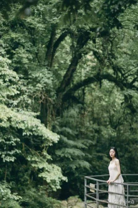 郝劭文女儿遭校园霸凌事件,联合调查组:不认定为“霸凌行为”,同学主观上不存在蓄意或恶意