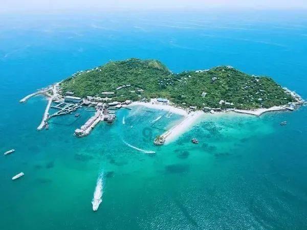 夏之许诺